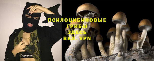 бутират Заводоуковск