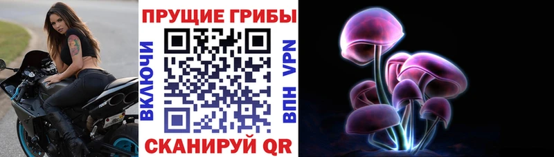 Псилоцибиновые грибы мухоморы  Купить где  Тара 